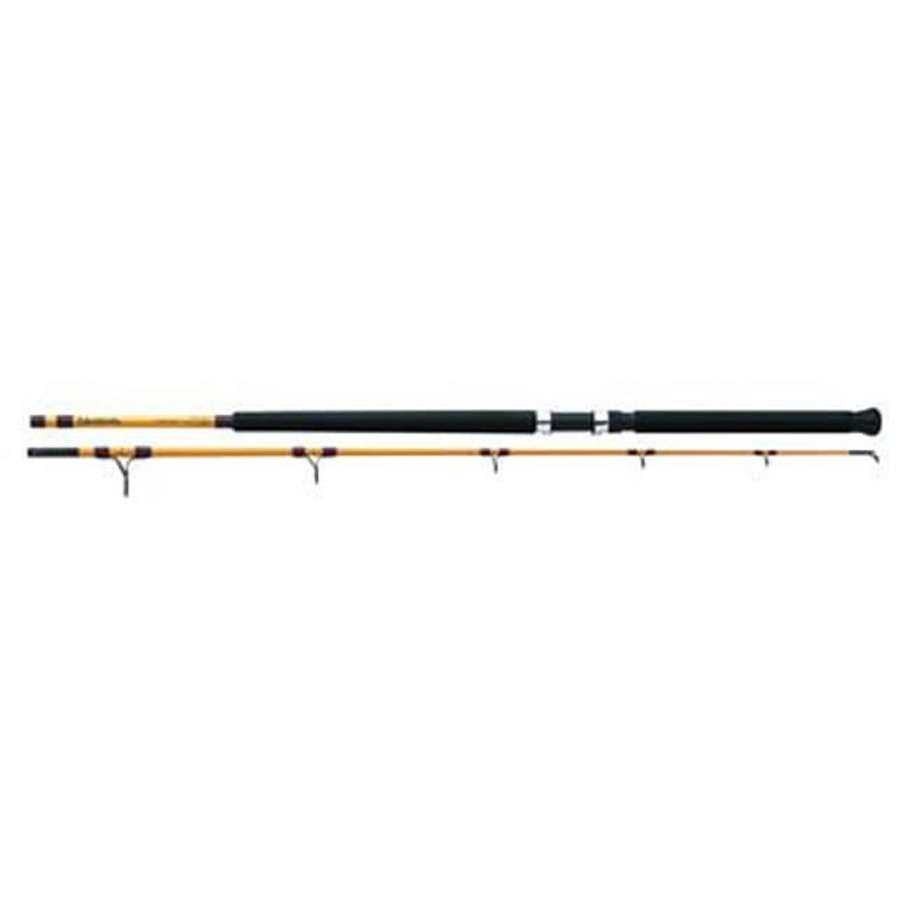 Surf Fishing Rod 11 Feet Mediu - مراجعة Fishing Rod Surf وسعره