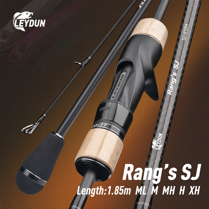 LEYDUN Rang’s SJ Slow Jigging  - مراجعة Fishing Rod Surf وسعره