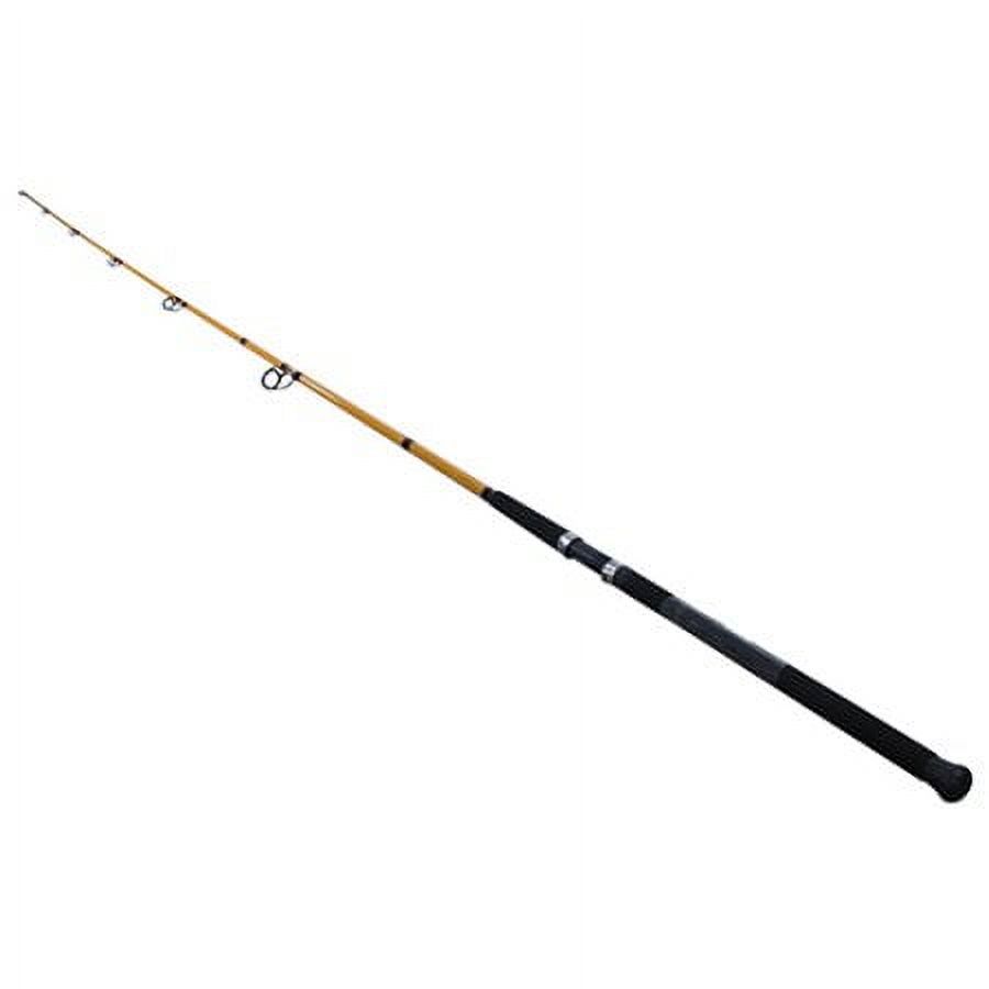 FT Series Fiberglass Surf Spin - مراجعة Fishing Rod Spinning وسعره
